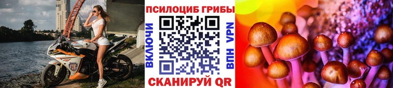 хочу наркоту  Ахтырский  МЕГА ONION  Псилоцибиновые грибы Psilocybe 